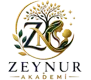 zeynur-akademi-logosu